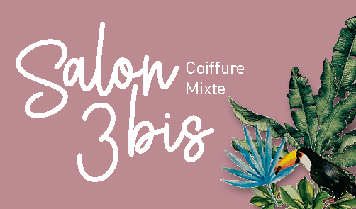 Salon 3 bis